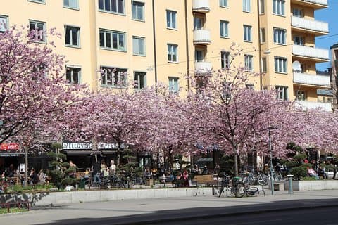 Stockholm Private Tour with a Local: Hip & Bohemian Sodermalm 3hr