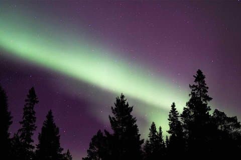 Luleå: Northern Lights tour by Car