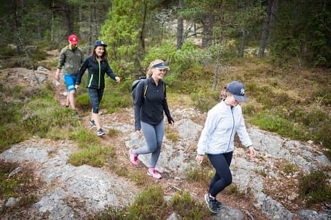 Hiking through swedish forest