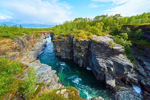 Discover Abisko Natioalpark : A Private Guided Nature Tour