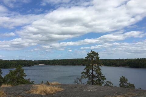 Stockholm Hiking Tour: Explore Hellasgården & Forest Trails