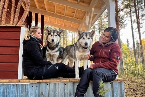 Alaskan Malamute Ranch Meet and Greet