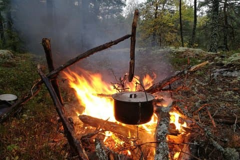 Stockholm Foraging & Outdoor Cooking: 3-Course Fire Meal