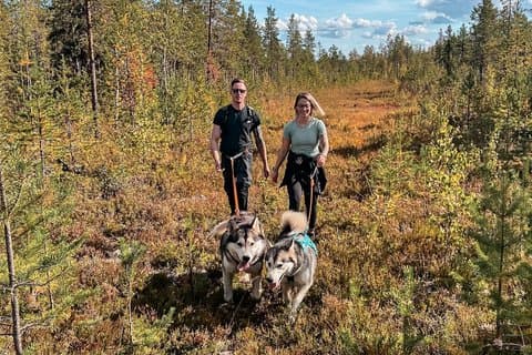 Nordic Wild Trek hike with sled dogs in Lapland