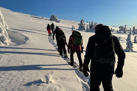 Swedish Lapland Snowshoe Hike