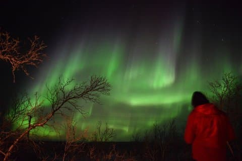 Abisko Northern Lights and Arctic Ecology Tour
