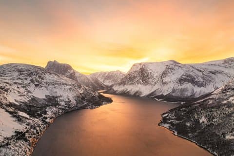 Hidden Fjords and Wildlife Expedition with Packed Lunch