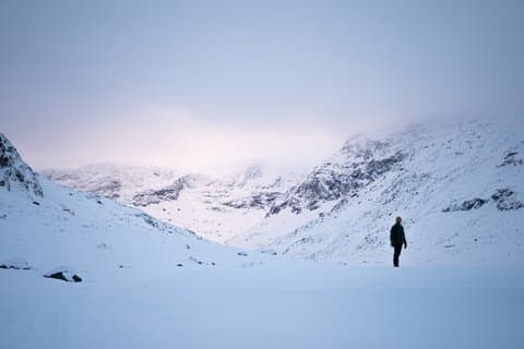 Arctic Wilderness Snowshoe Expedition