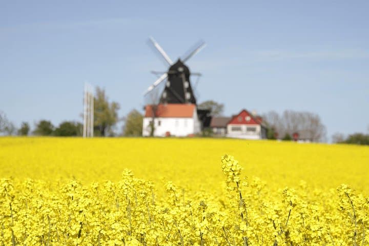 Lush countryside in Sweden.