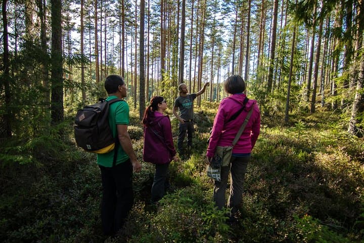 We will do several guided forest walks