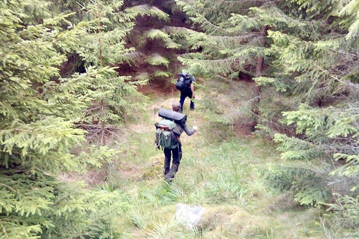 Hiking 1 day Stockholm nature tour