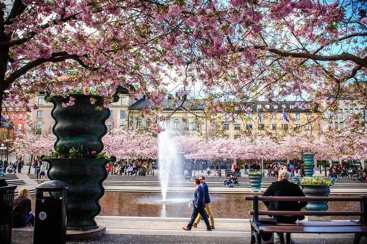 EXCLUSIVE Grand Walking Stockholm + FIKA with Local Guide****