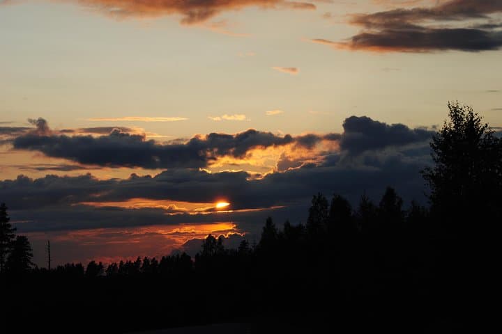 Moose safari in the wild Sweden Tiveden