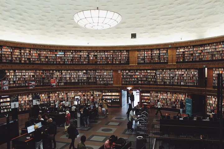 Explore Stockholm's Art and Culture with a Local