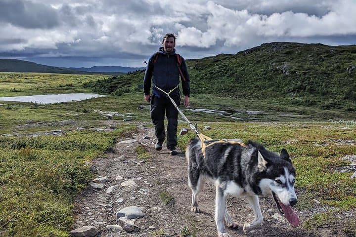Half Day Guided Walk with Huskies