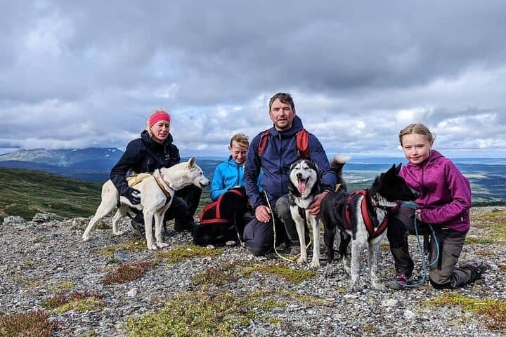 Half Day Guided Walk with Huskies