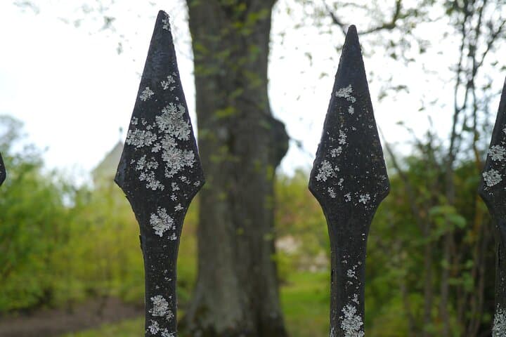 Medieval horror, undead and dark folklore walk Uppsala city - open tour