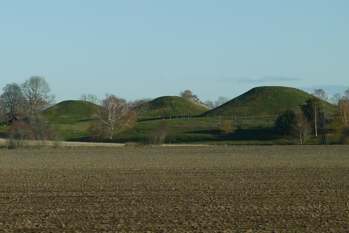 Guided tour 90min at Old Uppsala mounds and old Uppsala church