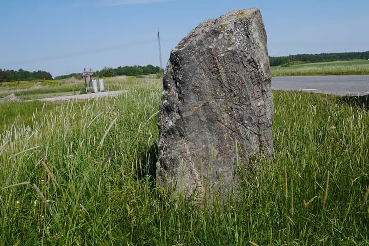 Guided nature and history experience 8h, Biskops-Arnö and Sigtuna from Stockholm