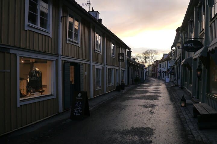 5hs guided Sigtuna tour from Stockholm to Sigtuna incl. Wenngarn Castle.