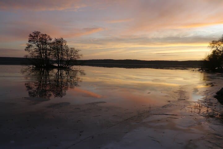 5hs guided Sigtuna tour from Stockholm to Sigtuna incl. Wenngarn Castle.