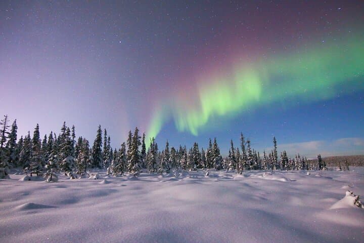 Guided Northern Lights Tour at Kiruna