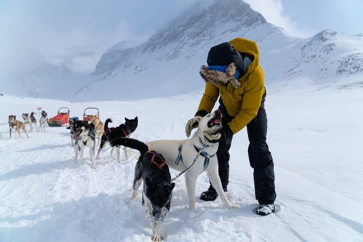 Husky Sledding Tour