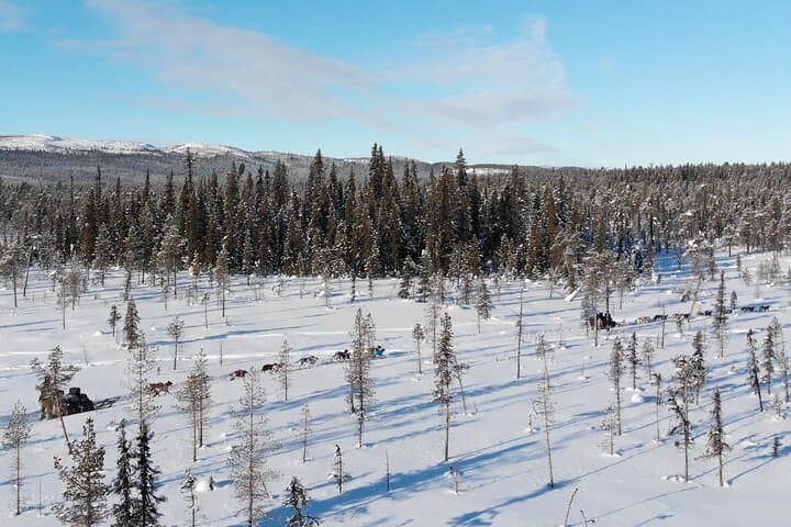 Exciting husky ride across frozen rivers and through forests