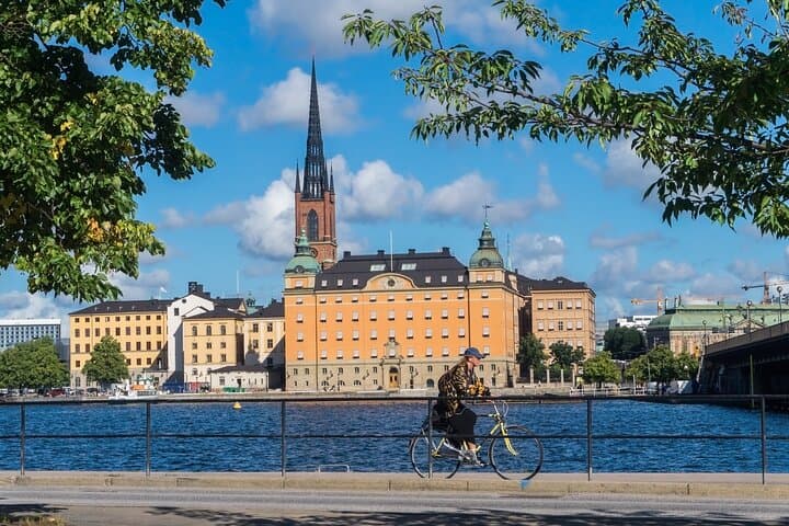 Stockholm: Private Sightseeing Tour and Food Tasting with local