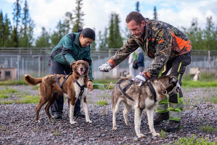 Meet 70 Huskies and Enjoy a short ATV Tour with the Huskies