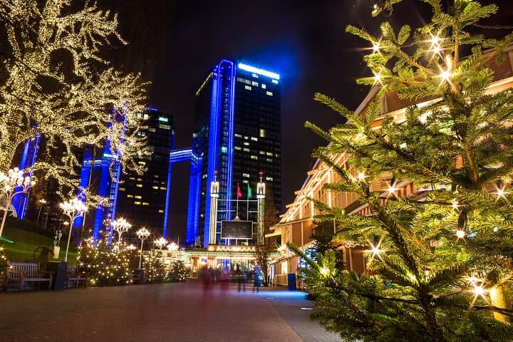 Private Historic Christmas Walking Tour in Gothenburg