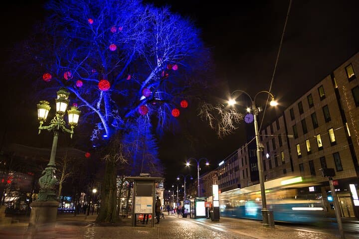 Private Historic Christmas Walking Tour in Gothenburg