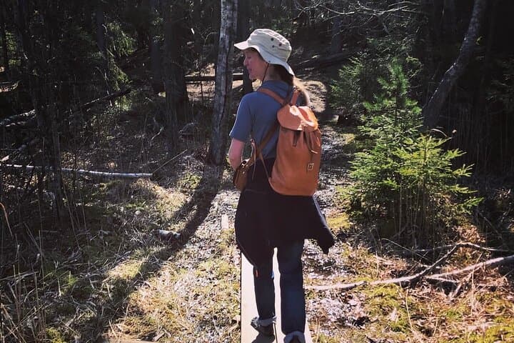 Midnight Sun Hike & Campfire Wild Dinner i- Tyresta National Park