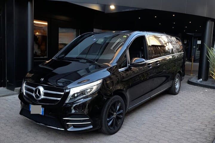 Private Transfer from Nynashamn Cruise Port to Stockholm Hotels
