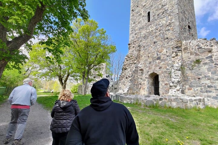 Viking History, Runes & Countryside 9h Tour to Sigtuna & Uppsala