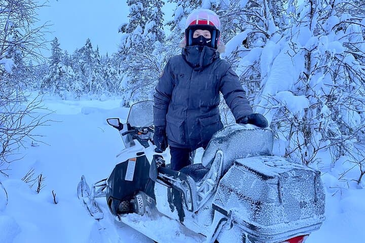 Private snowmobile day tours