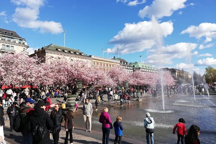 Scandinavian Art, Architecture and Design Tour in Stockholm