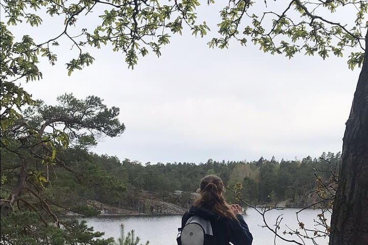 Wolf and Wildlife Tracking in Sweden