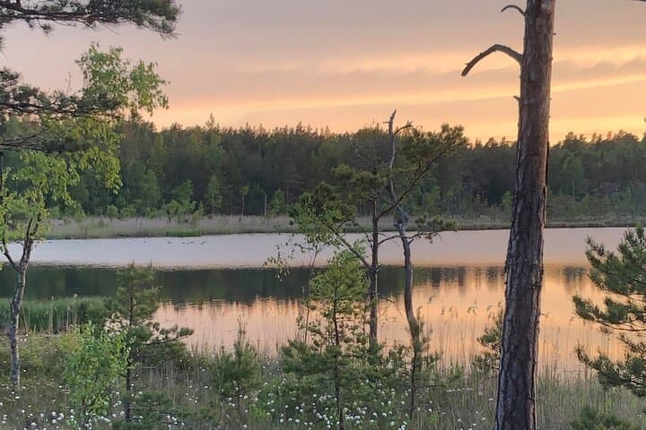 Midnight Sun Hike & Campfire Wild Dinner i- Tyresta National Park