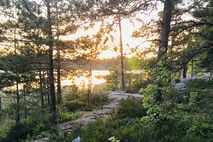 Midnight Sun Hike & Campfire Wild Dinner i- Tyresta National Park