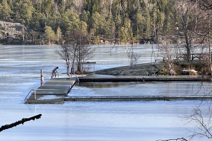 Sauna and Cold Plunge, Forest Hike and Fireplace Lunch - Private