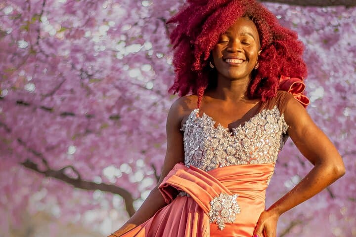 Cherry Blossom Season