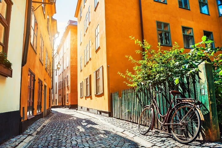 Stockholm Tour Including Vasa Museum from Cruise Port