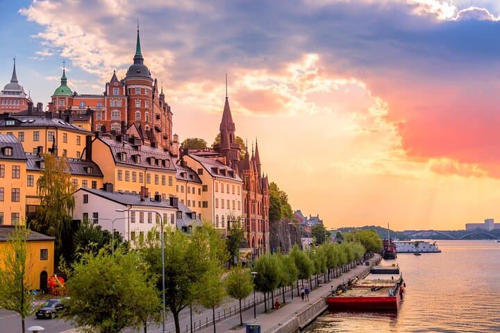 Stockholm Gems and Charms Tour from Cruise Port