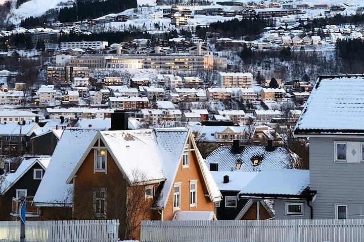 From Kiruna: Narvik City and Fjord Day Trip