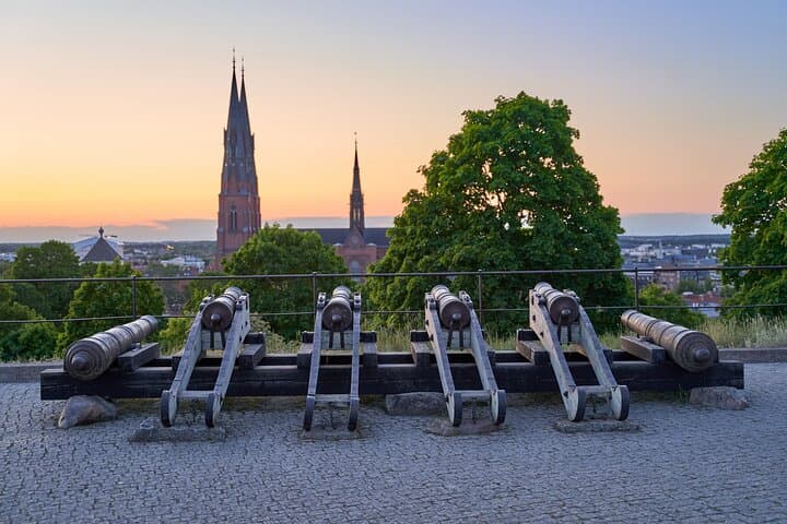 Historic Uppsala Private Tour