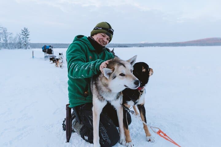 Dog sledding excursion to Kiruna