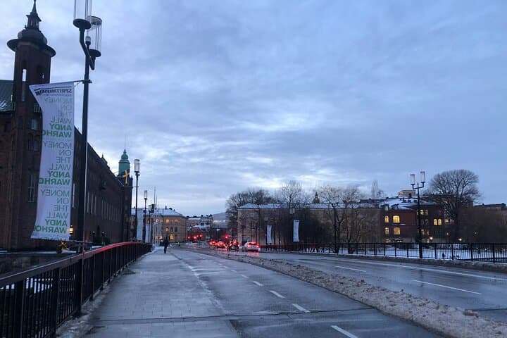 Private Stockholm City Tour