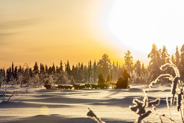 Europes Last Wilderness