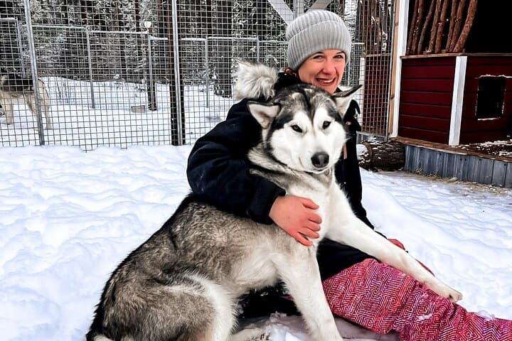 Alaskan Malamute Ranch Meet and Greet